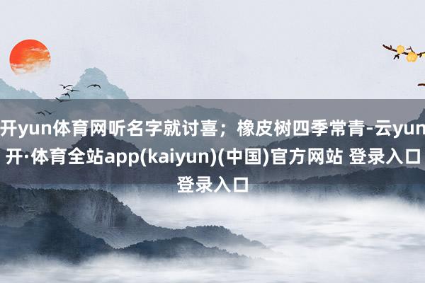 开yun体育网听名字就讨喜；橡皮树四季常青-云yun开·体育全站app(kaiyun)(中国)官方网站 登录入口