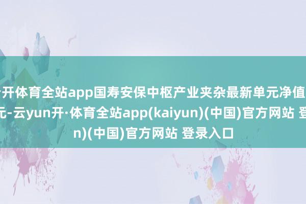 云开体育全站app国寿安保中枢产业夹杂最新单元净值为0.708元-云yun开·体育全站app(kaiyun)(中国)官方网站 登录入口